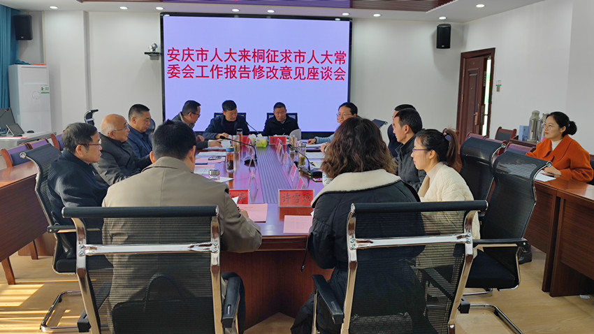 安庆市人大来桐征求《市人大常委会工作报告》修改意见2.jpg