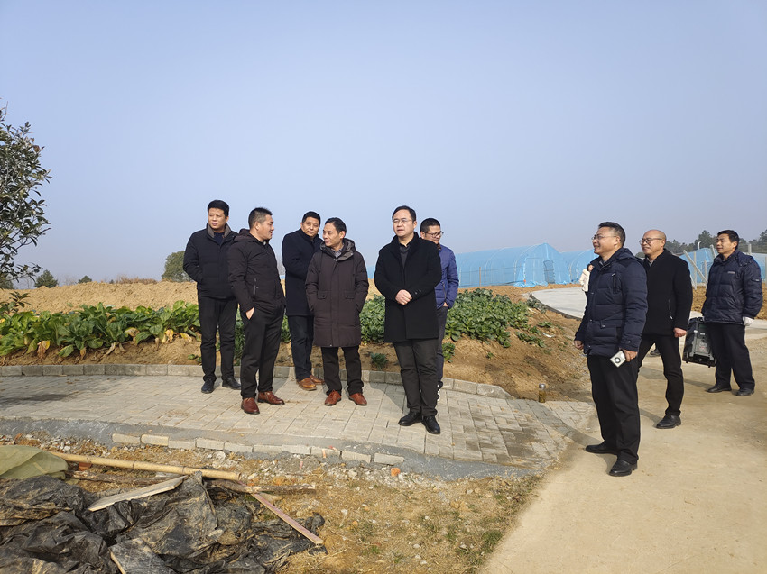 范岗镇2021年度村级党组织书记抓党建工作述职暨“一诺双评”活动现场调研图片.jpg