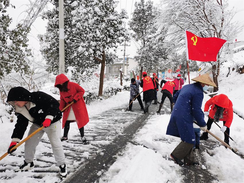 黄甲.jpg