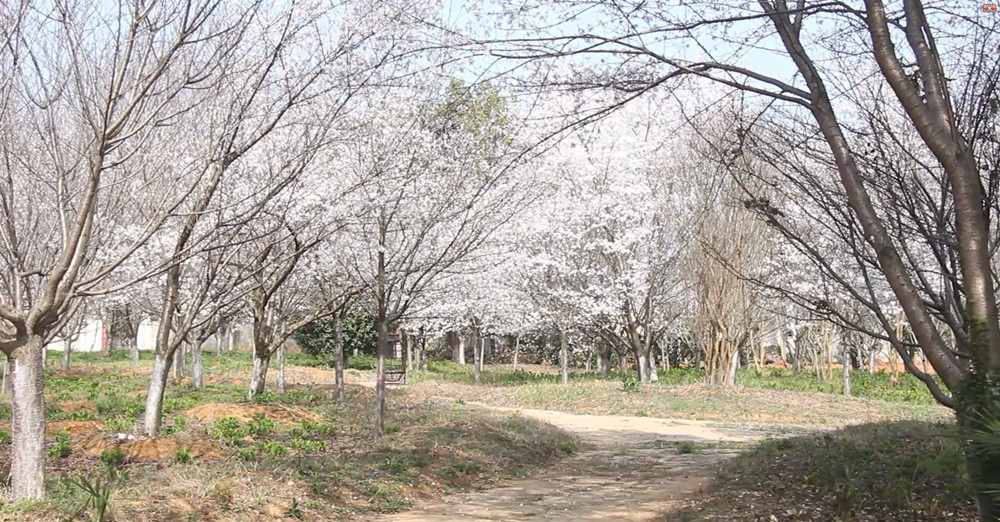 蟠龙湾1.jpg