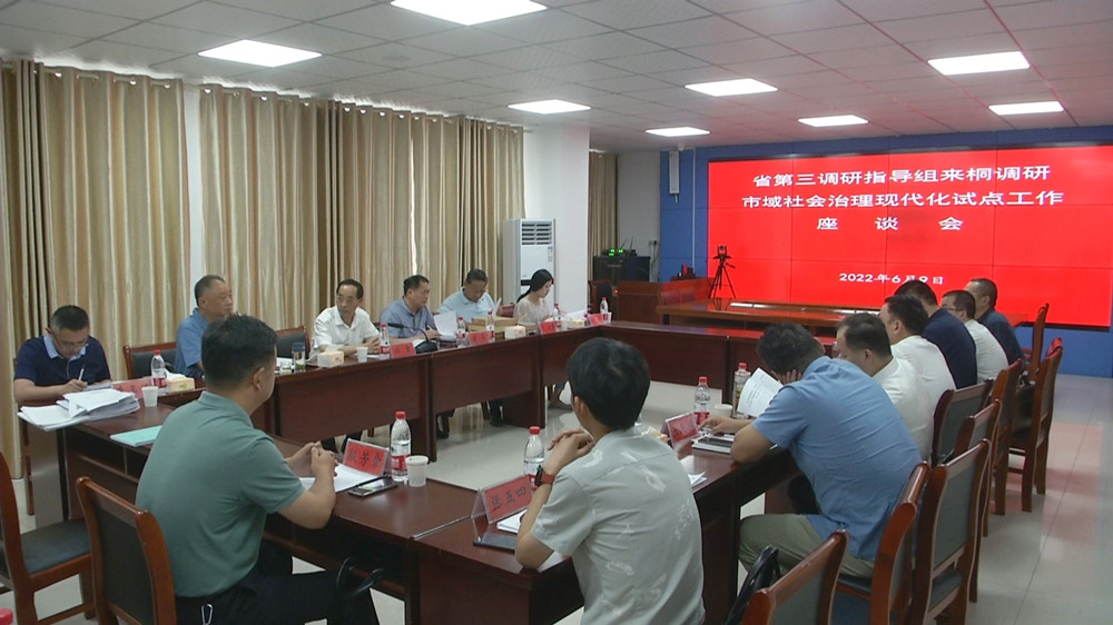 省市域社会治理现代化试点调研指导组来桐调研.jpg