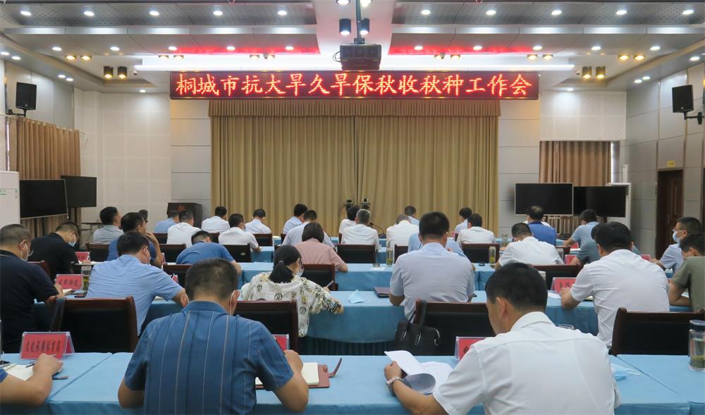 桐城市抗大旱久旱保秋收秋种工作会议.jpg