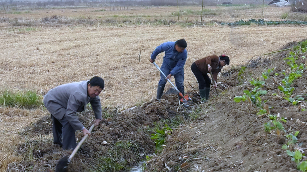 图为村民们正在沿线沟渠清理杂物，保障水流畅通 .jpg