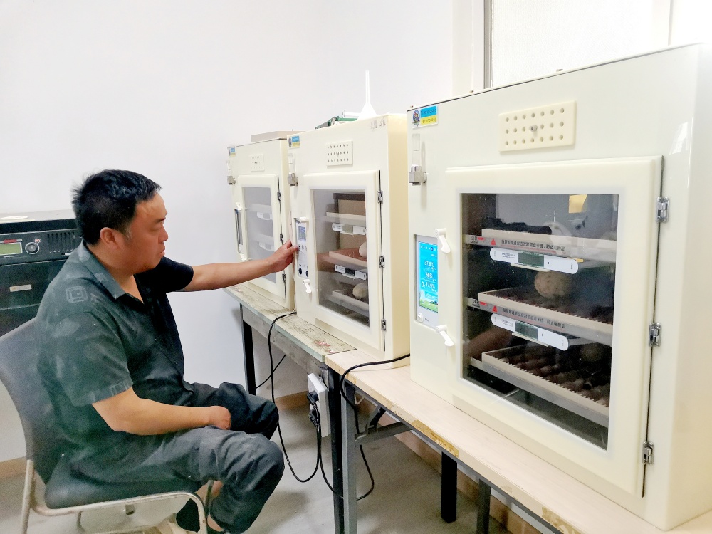 江兴涛在孵化房查看.jpg